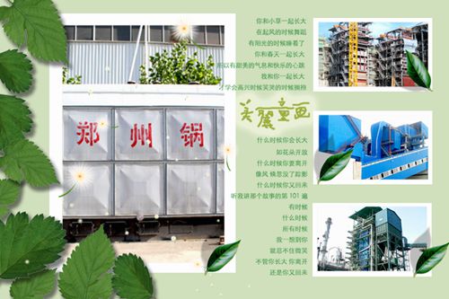 生物质燃料锅炉.jpg