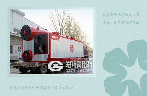 10吨天然气油二用锅炉.jpg