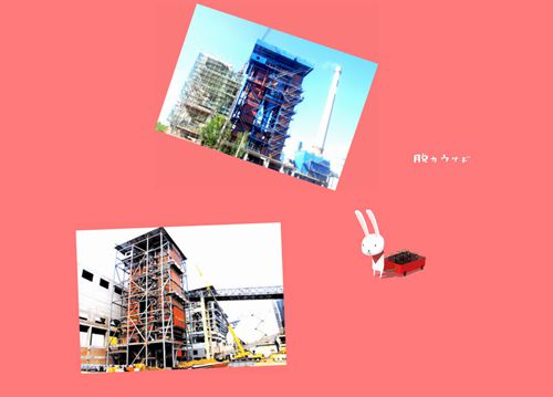DHX型循环流化床锅炉-1_副本543.jpg